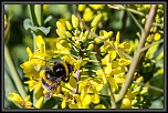 -29032017-img_4241.jpg