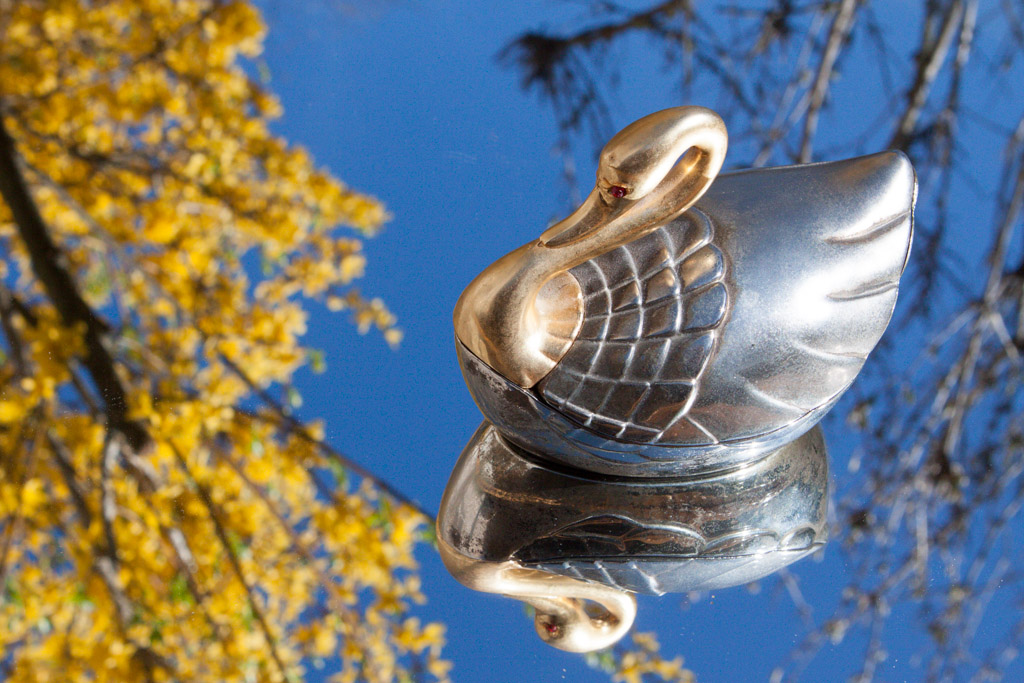 -12-reflet-canard.jpg