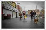 Doc du 300D pages manquantes-03032017-img_3256-6.jpg