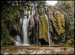 -img_8095.jpg