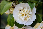Petit sondage-image00003.jpg