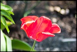 Petit sondage-image00008.jpg