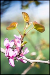 Petit sondage-5s6a0026.jpg