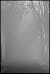 -380015835.jpg