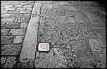 Petit sondage-5s6a0204fini2.jpg