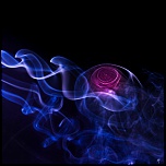 Petit sondage-sem-19-fum-e-ma-rose.jpg