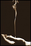Petit sondage-5s6a0717-copie.jpg