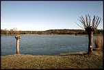 70-300 Sigma APO-6458.jpg