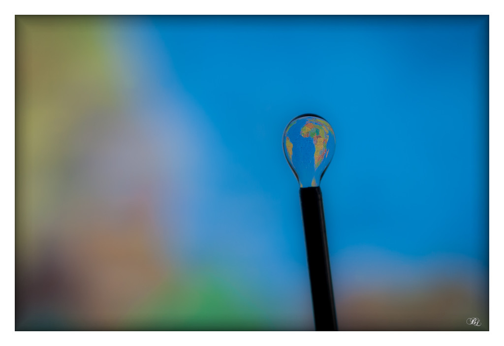 vos avis-img_4496-lr4.jpg
