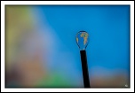 vos avis-img_4496-lr4.jpg