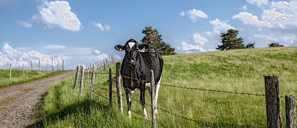 -24-hdr-campagnard.jpg