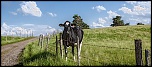-24-hdr-campagnard.jpg