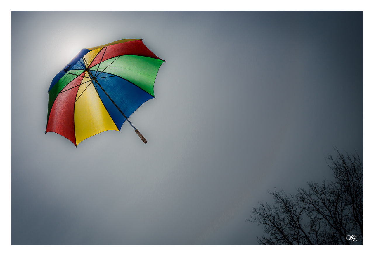 presentement&#33;&#33;&#33;-img_0436-lr2-g-fs3-m.jpg