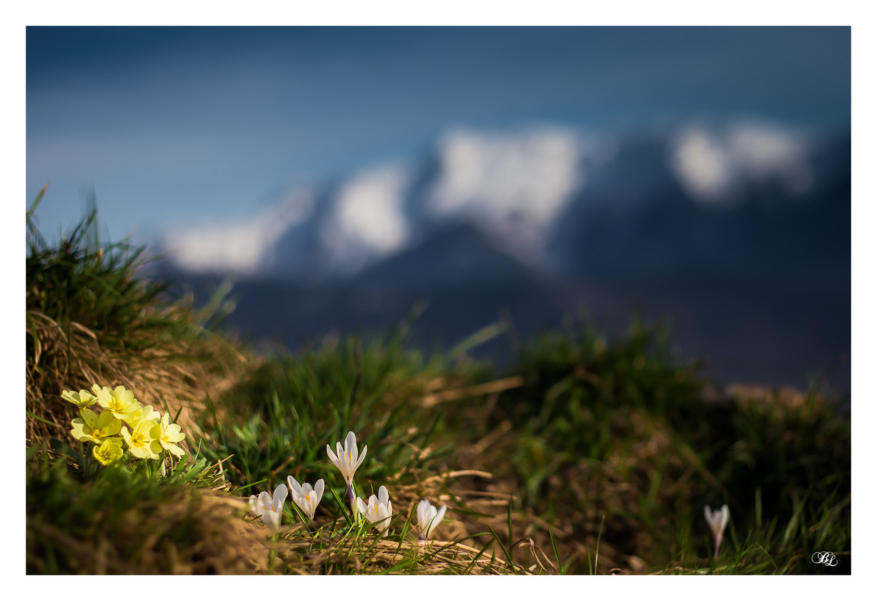 presentement&#33;&#33;&#33;-img_1163-lr4-g-fs6-m.jpg
