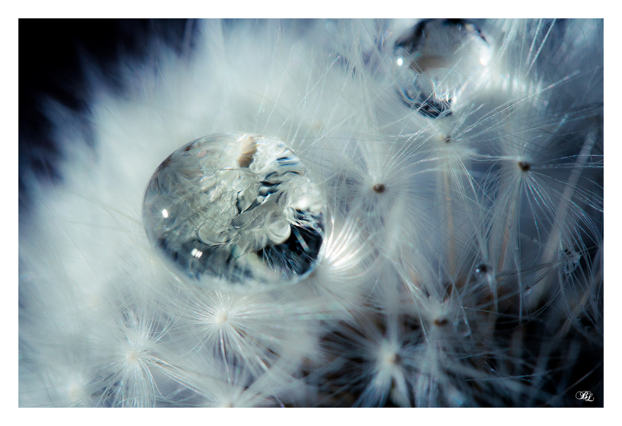 presentement&#33;&#33;&#33;-img_4407-lr1-g-fs12-m.jpg
