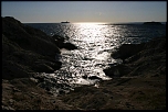 70-300 Sigma APO-6476.jpg