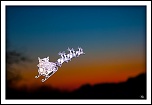 -img_4327-lr1-2-fs1-m.jpg
