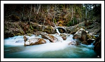 -img_1441-lr1-g-fs1-m.jpg