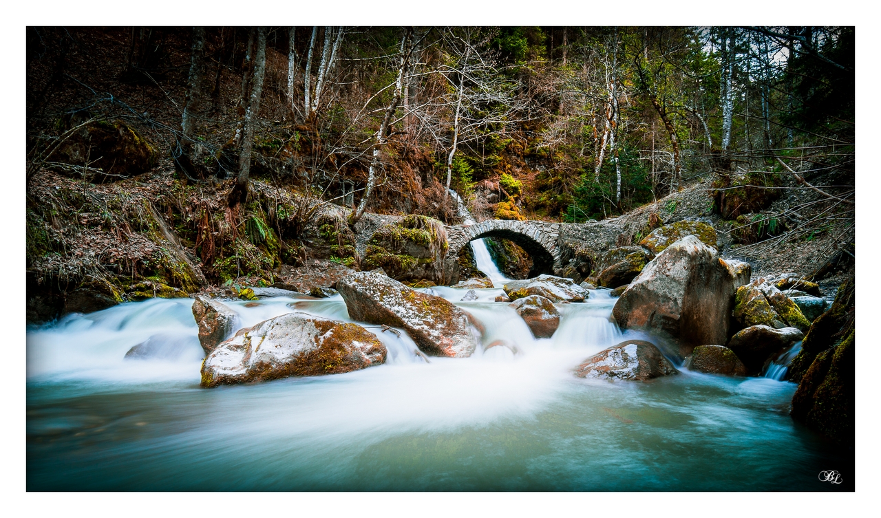 -img_1441-lr1-g-fs1-m.jpg