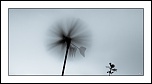 -img_1768-lr5-g-fs1-m.jpg