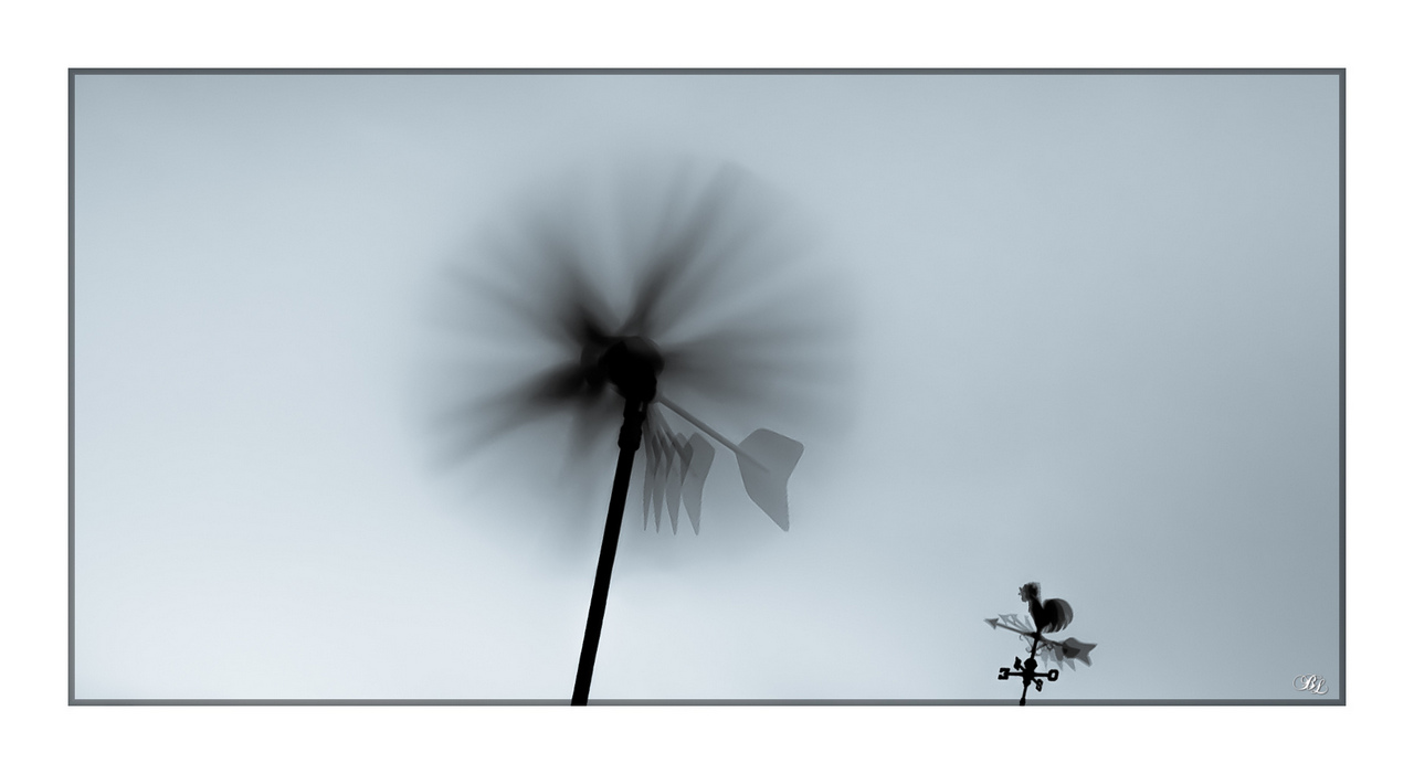 -img_1768-lr5-g-fs1-m.jpg