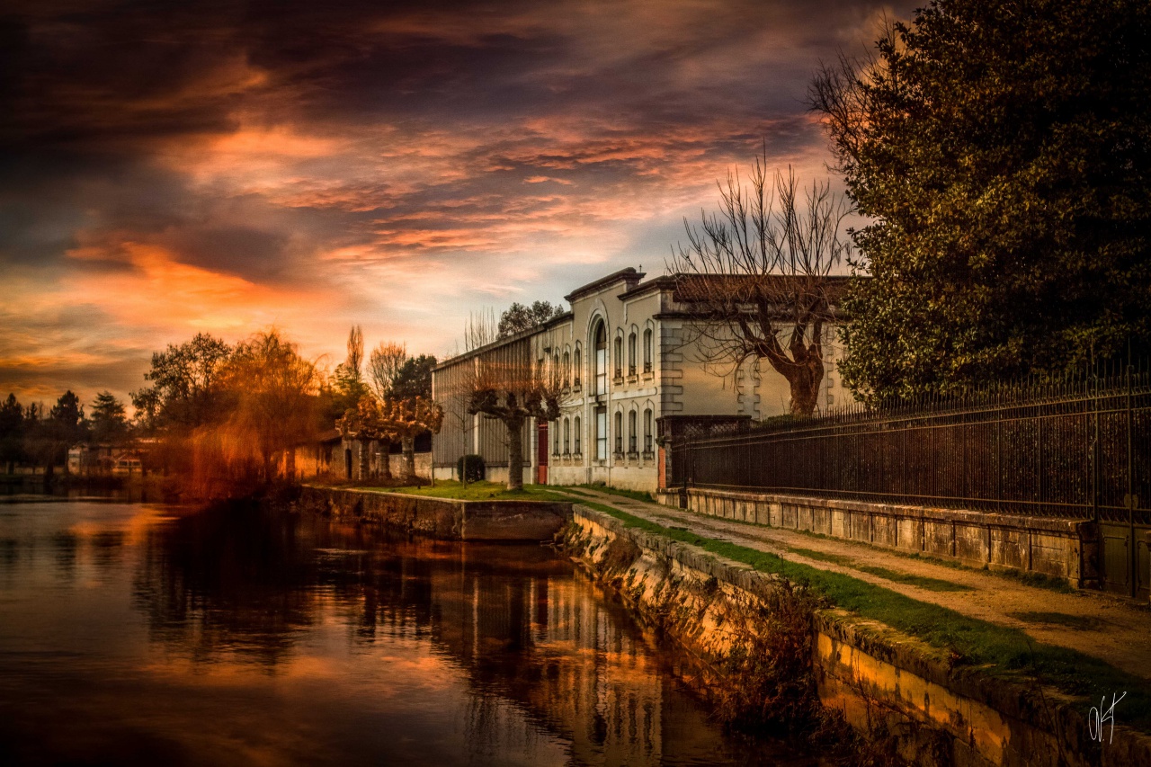 presentement&#33;&#33;&#33;-cognac-2.jpg
