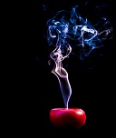 -img_8984.jpg