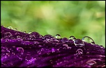 -img_9163.jpg