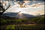 -img_9579.jpg