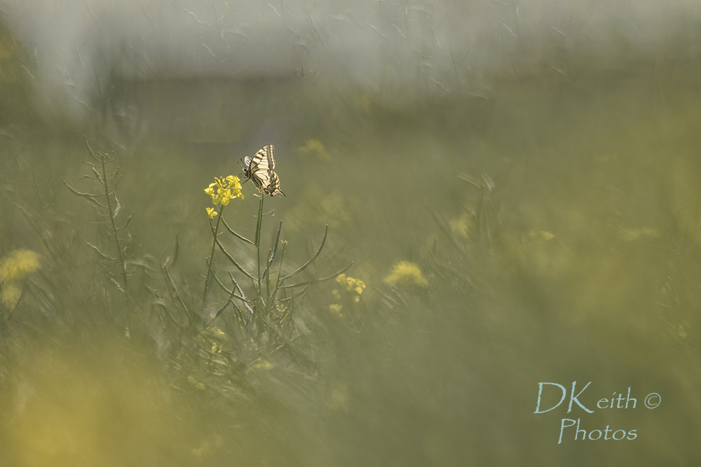 -dreux-plateau-nord_21-05-2017-16-09-17_0015.jpg