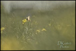 -dreux-plateau-nord_21-05-2017-16-09-17_0015.jpg