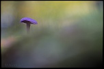 -weiterswiller_26-10-2016-14-35-15_0174.jpg