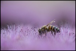 -l-ves-chavannes_10-09-2016-14-22-20_0069.jpg