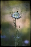 -chavannes_23-07-2016-19-57-52_0304.jpg