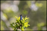 -s-resville_20-04-2016-10-37-36_0098.jpg