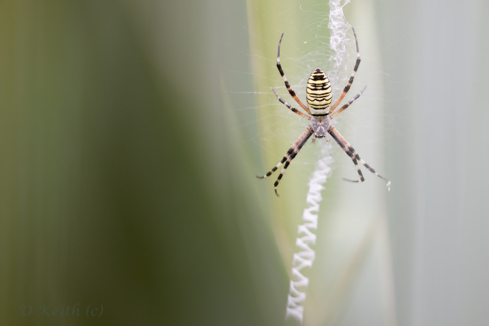 -mommenheim_09-08-2015-09-37-53_0130.jpg