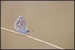 -fontenay-sur-eure_20-07-2015-07-55-16_0118.jpg