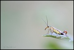 -s-resville_12-07-2015-08-28-44_0074.jpg