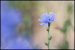 -l-ves-chavannes_11-07-2015-08-41-16_0039.jpg
