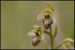 -ymonville_24-05-2015-14-04-03_0111.jpg