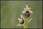 -ymonville_24-05-2015-12-43-45_0046.jpg