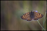 -montignac_31-07-2014-19-00-44_0236.jpg