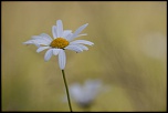 -fontenay-sur-eure_22-06-2014-15-56-33_0699.jpg