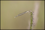 -fontenay-sur-eure_15-06-2014-09-55-39_0003.jpg