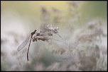 -fontenay-sur-eure_13-06-2014-20-24-28_0033.jpg