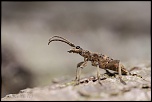 -seresville_30-05-2014-16-47-32_0535.jpg