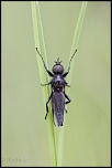-seresville_27-04-2013-11-31-05_0059.jpg