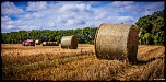 70-300 Sigma APO-defi-52-theme-semaine-n-30-bottes-de-pailles-8885.jpg