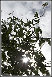 vos avis-lumi-re_s23.jpg