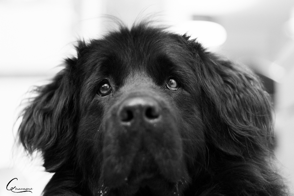 vos avis-regard_s5.jpg